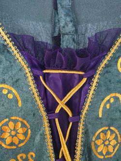 Hocus Pocus Winifred Halloween costume adult sz L