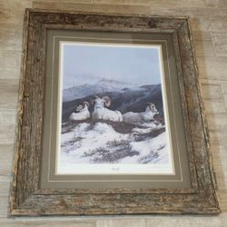 Dynamite Vtg Dall Sheep "Ovis Dalli Dalli" 405/450 Signed Gary R. Swanson