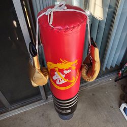 Gloves And Kick/Punching Bag $20