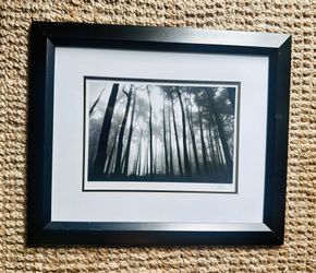 Framed photograph By Jesse Kalisher