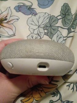 Google home mini