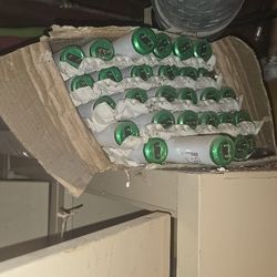 Bpx Of T12 Shop Bulbs