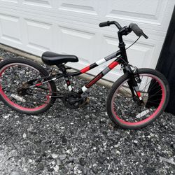 Guardian Bike 20”