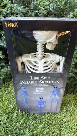 Halloween Decorations  Skeleton Life Size/ black light reacts