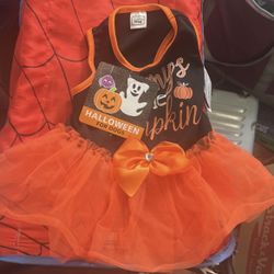 Halloween Costume For Dog