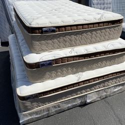 Queen Organic Cloud Edition Europillow Top 12inch Matres!