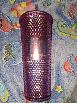 Disneyland tumbler