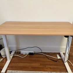 Adjustable Standing Desk