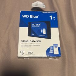 WD Blue SSD