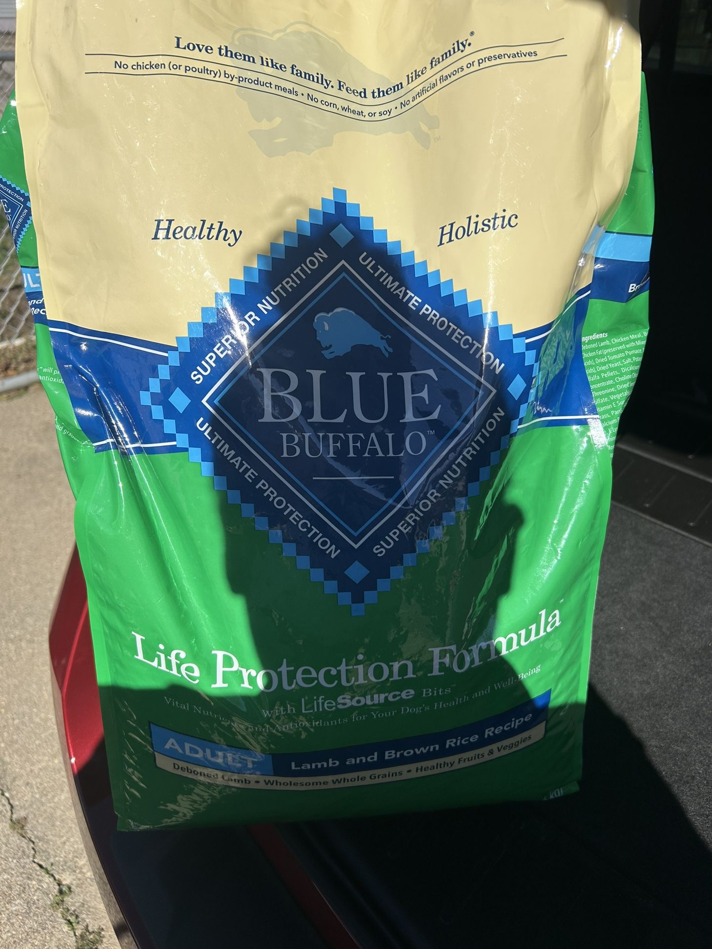 Blue Buffalo Life Protection Formula Adult Dog Food