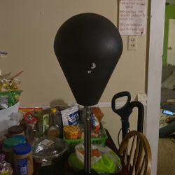 Boxing Stand With Gloves That Come Alone With It 