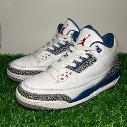Size 10 - Jordan 3 True Blue Retro 2011