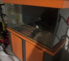 70+ gal enclosure/aquarium