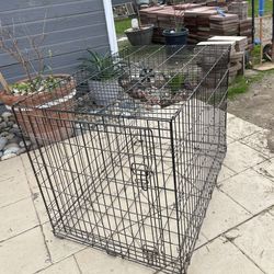 Cane Corso cage for sale