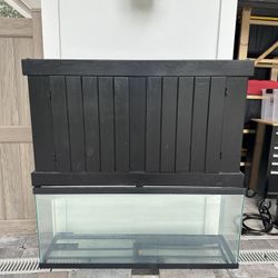 Fish Tank