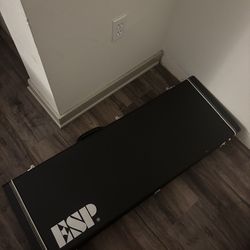 Esp/ltd ec 1000 case