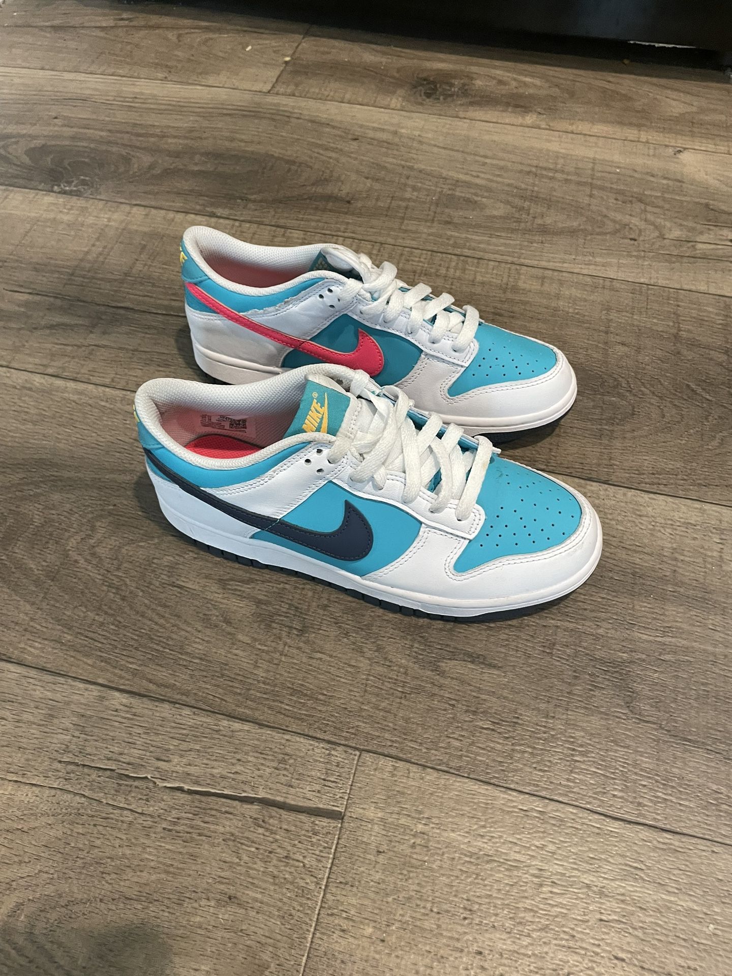 Nike Dunks Size 7