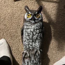 Owl Decoy 