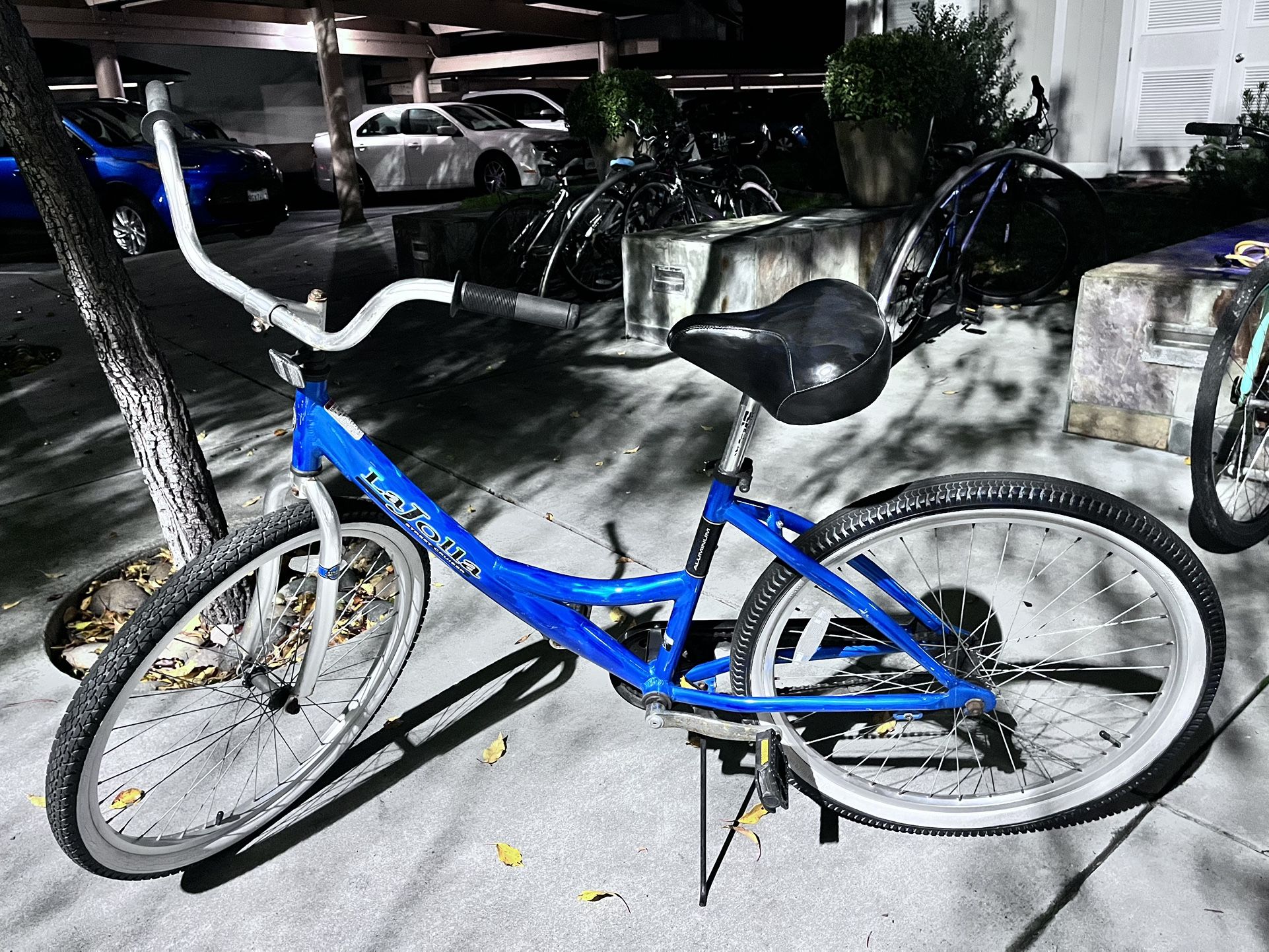 Beach Cruiser