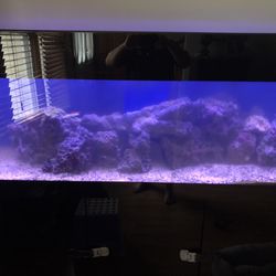125 Gallons Acrylic salt water fish tank,come with canopy,box Sump and skimmer under tank.72 in LED reef light, many life rocks,life sand, .No fish . 