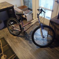Schwinn Ranger 2.4 FS Best Offer Takes It 