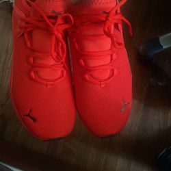 Puma Shoes