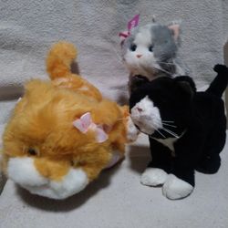 Furr-Real Cats