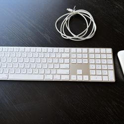 Apple Magic Keyboard w/Apple Mouse