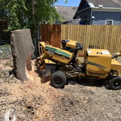 Stump Grinding 