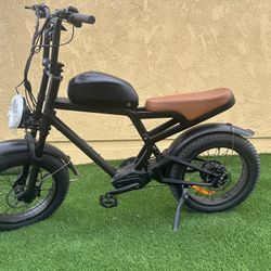 20” Fat Tire E-bike 