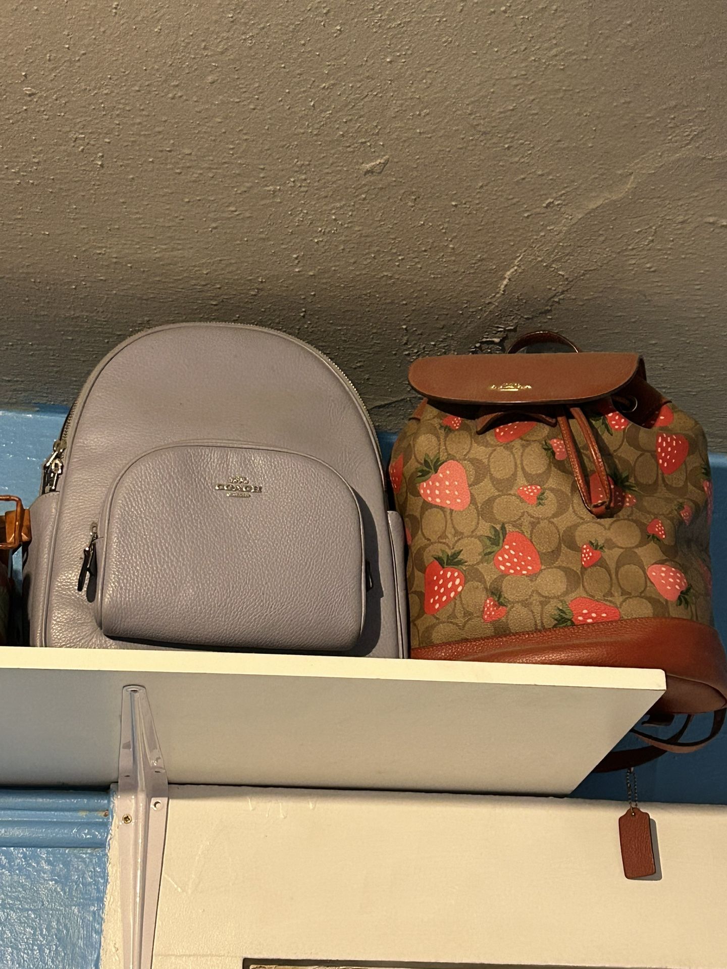 Coach Bags And Disney Backpacks 