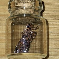 Unidentified Mineral Specimen 