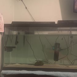 55 Gallon Fish Tank 