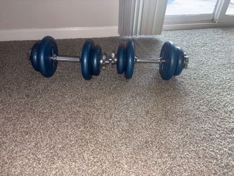 50 LB dumbbell weights
