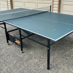 Ping Pong Table