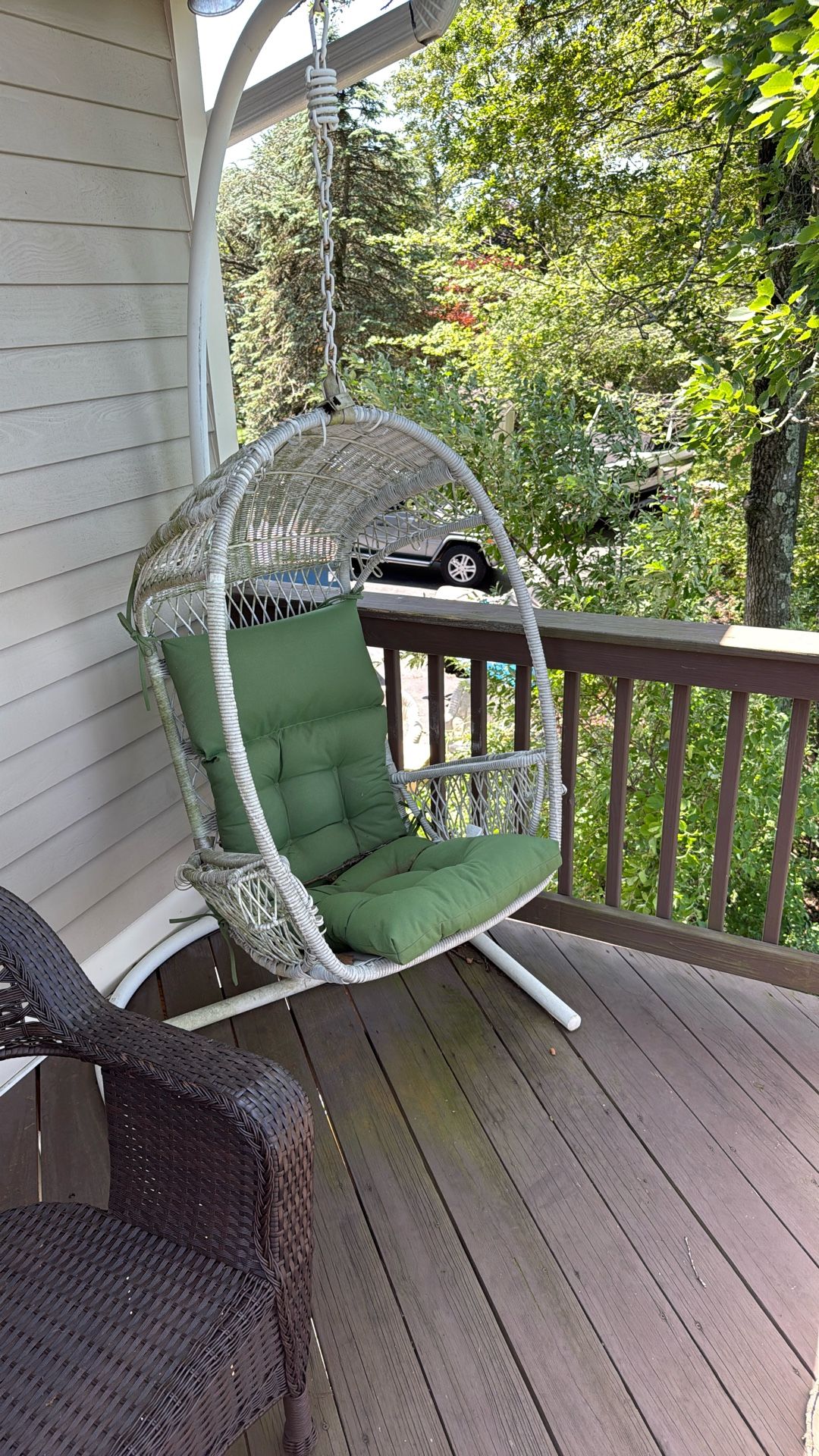 Pier 1 Nest Chair $100