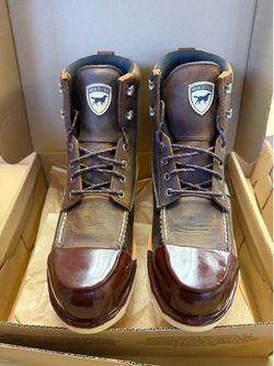 Irish setters