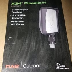 RAB LED Outdoor Floodlight