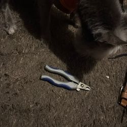 Dog Nail Clipper 