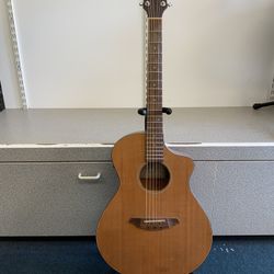 Breedlove Acoustic Electric Guitar