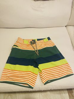Men’s Patagonia Waver Farer Board Shorts Blue/Green /Orange Striped Size 34