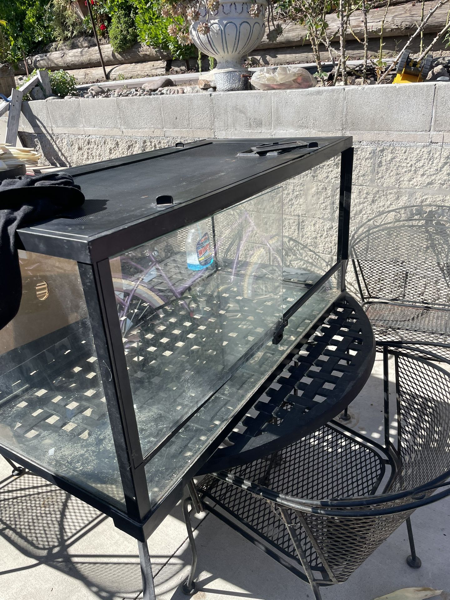 T-Rex Reptile Glass Terrarium