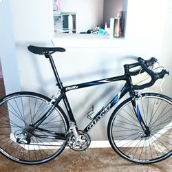 Giant Road Bike $250
