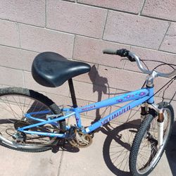 Hotrock Specialized Bike 