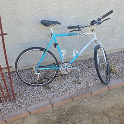 SPECIALIZED Brand Project Bike