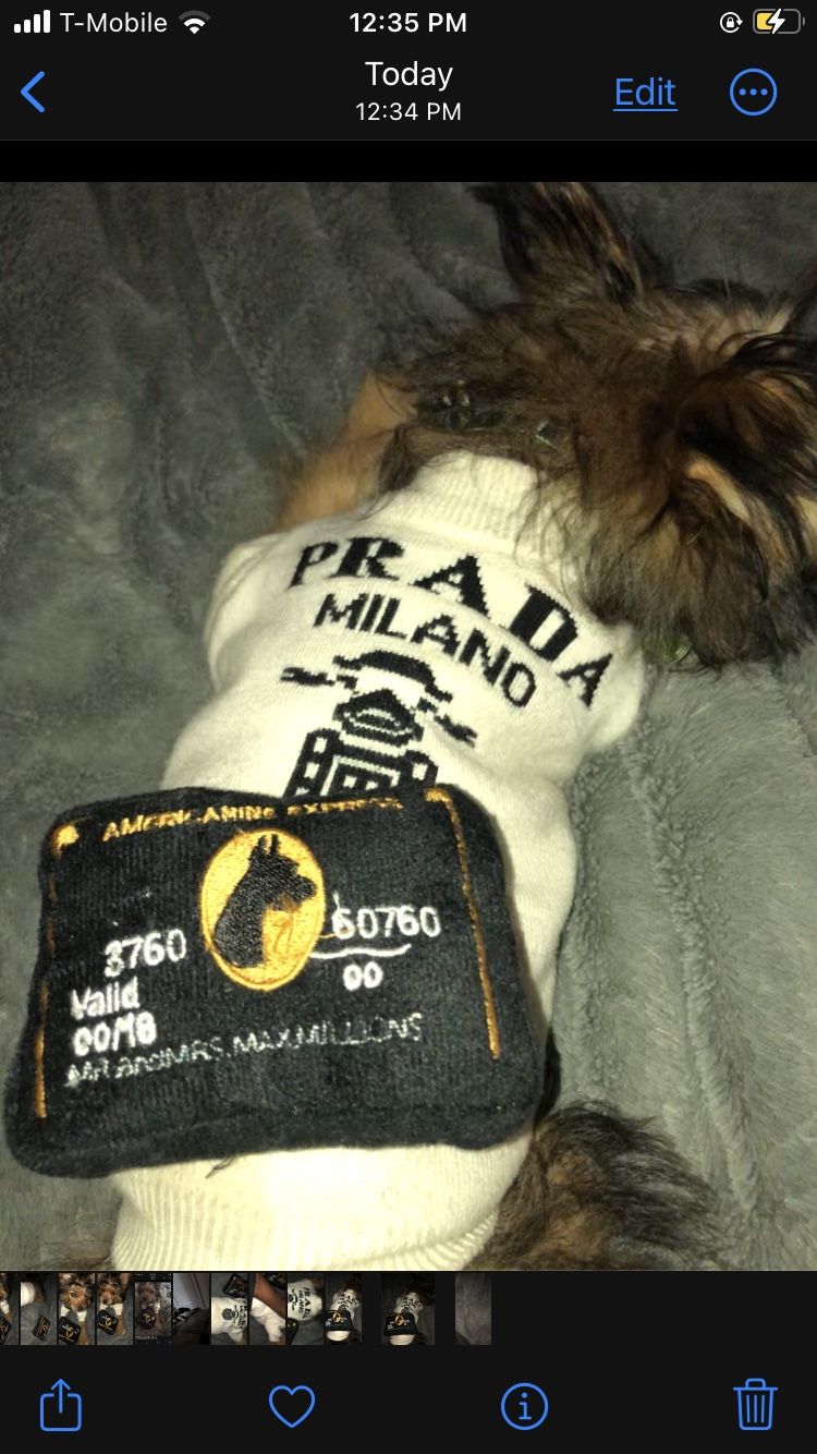 Prada Dog Vest
