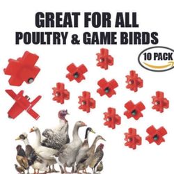 Chicken , Bird Water Nipple 