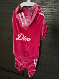 Dog clothes