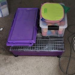 Ferret Cage Toys
