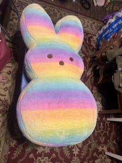 Care Bear And Other Stuff Animals 